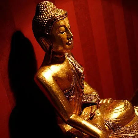 Flamingo Motel Perafita