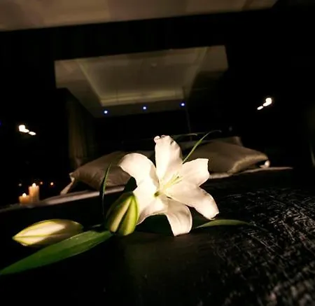 Мотель Flamingo *