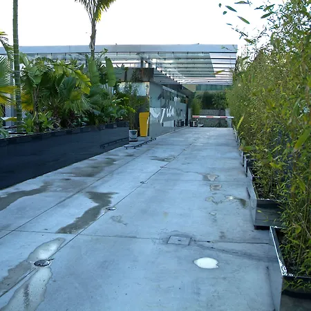 Motel Flamingo Perafita