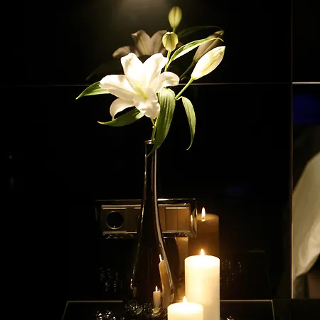 موتيل Flamingo *