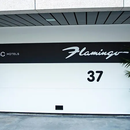 Flamingo * Perafita